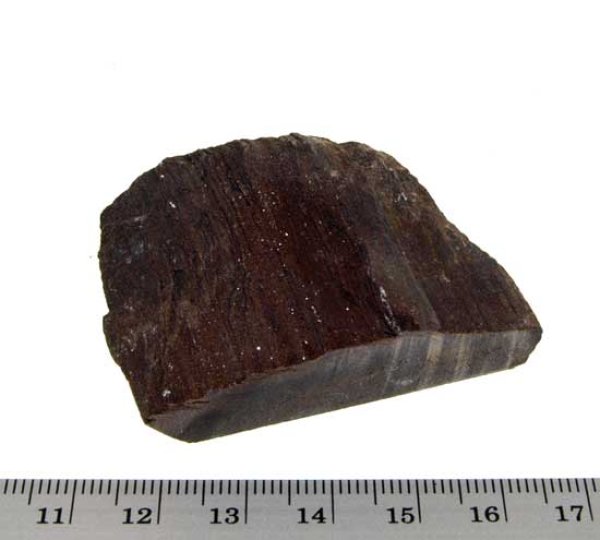 Fossiles Holz #1: B/T/H: 50/30/13 mm, Gewicht: 41 g